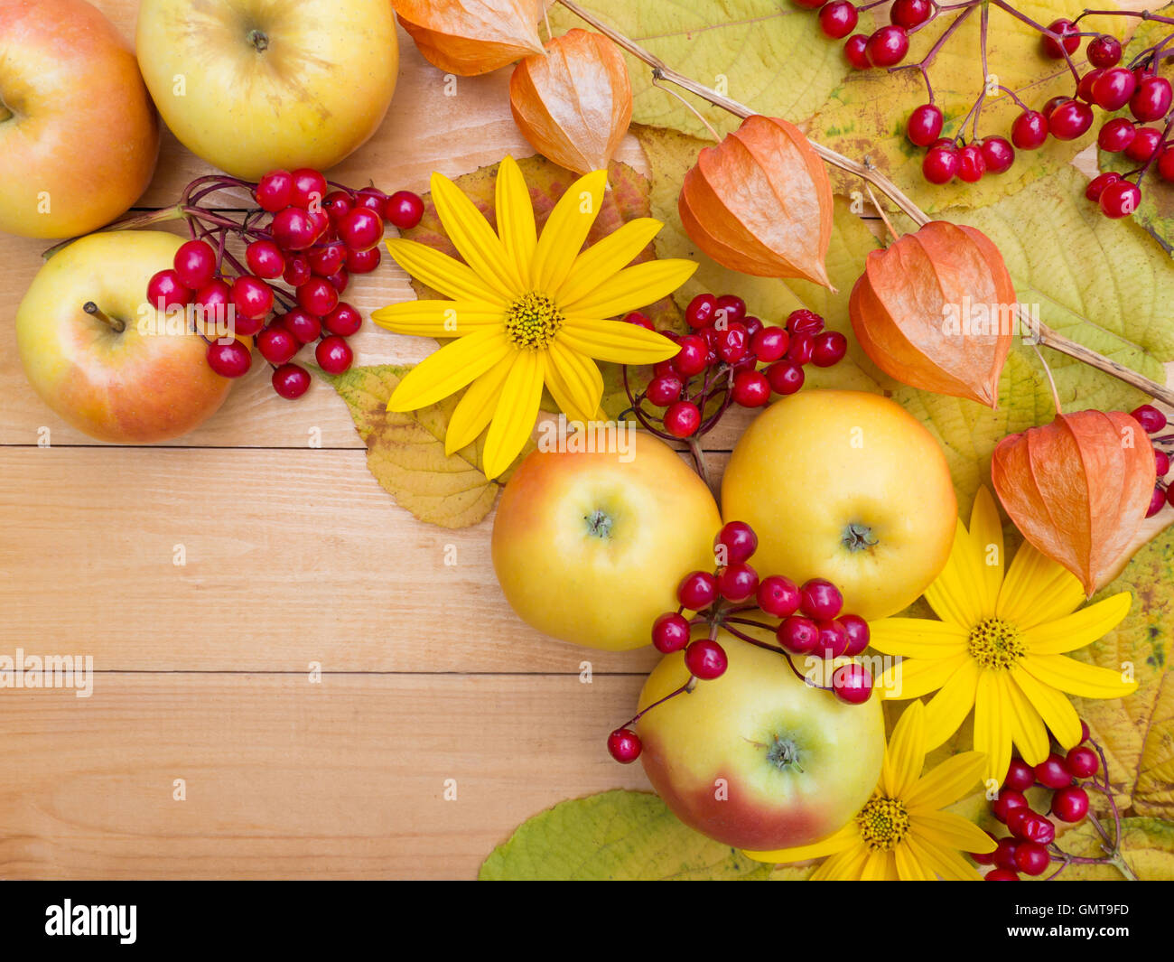 Apples, yellow flowers, physalis lanterns, berries and autumn leaves on the wooden planks background Stock Photo