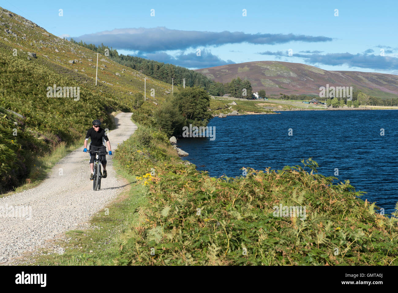 Mountain biker riding past Loch Lee, Glen Esk, Angus, Scotland Stock Photo