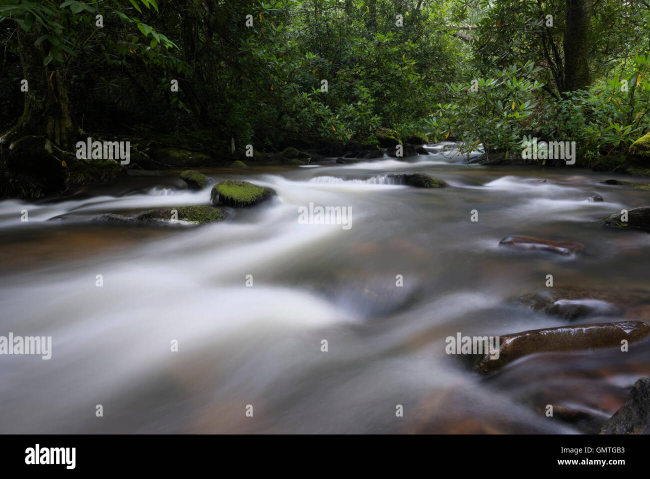 Whiteoak Creek in Nantahala National Forest. North Carolina. Stock Photo