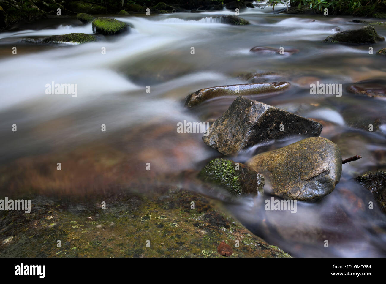 Whiteoak Creek in Nantahala National Forest. North Carolina. Stock Photo