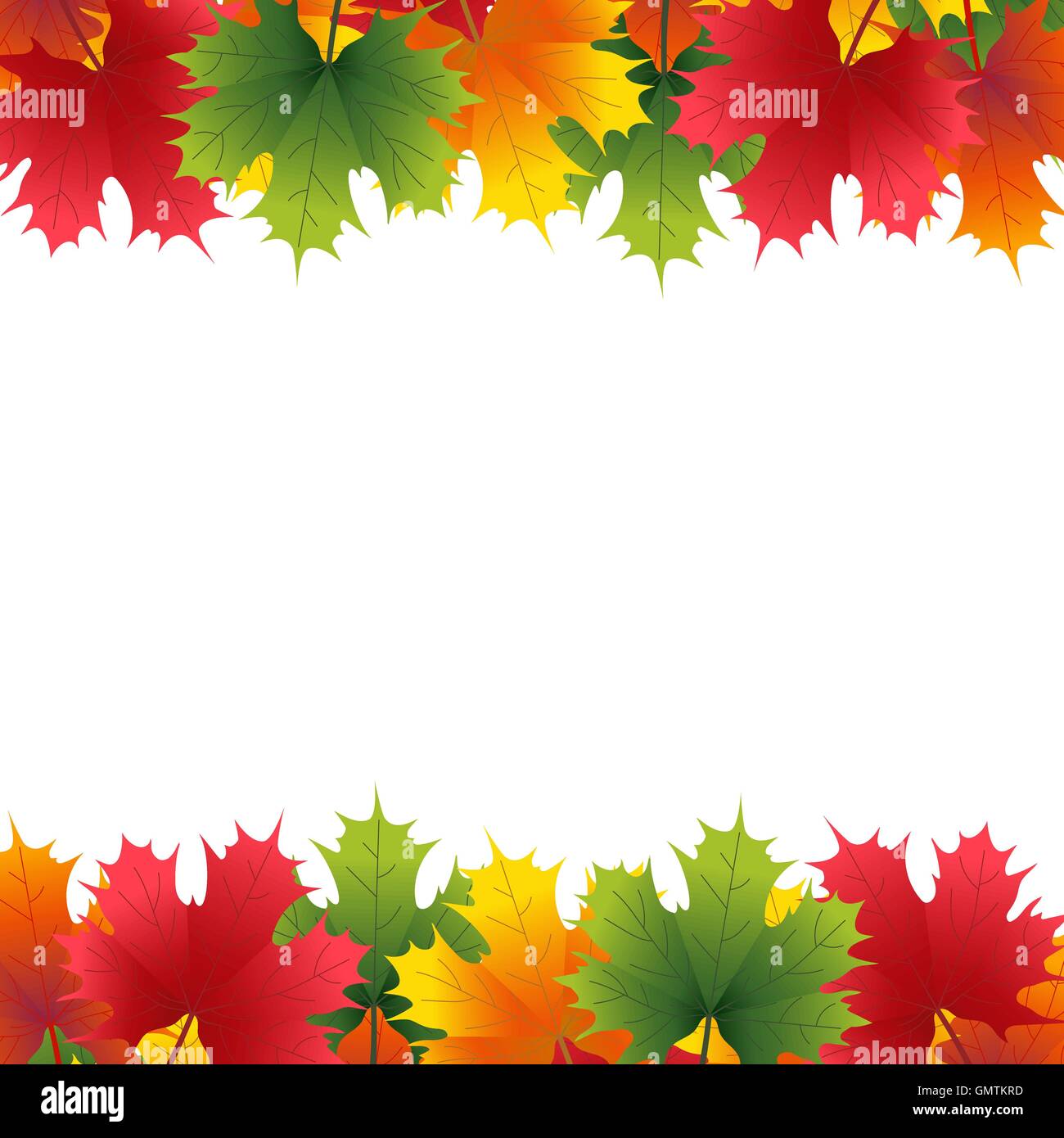 Autumn maple leaf on a white background Stock Vector Image & Art - Alamy