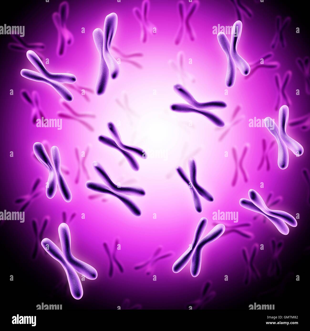 Chromosomes illustration hi-res stock photography and images - Alamy