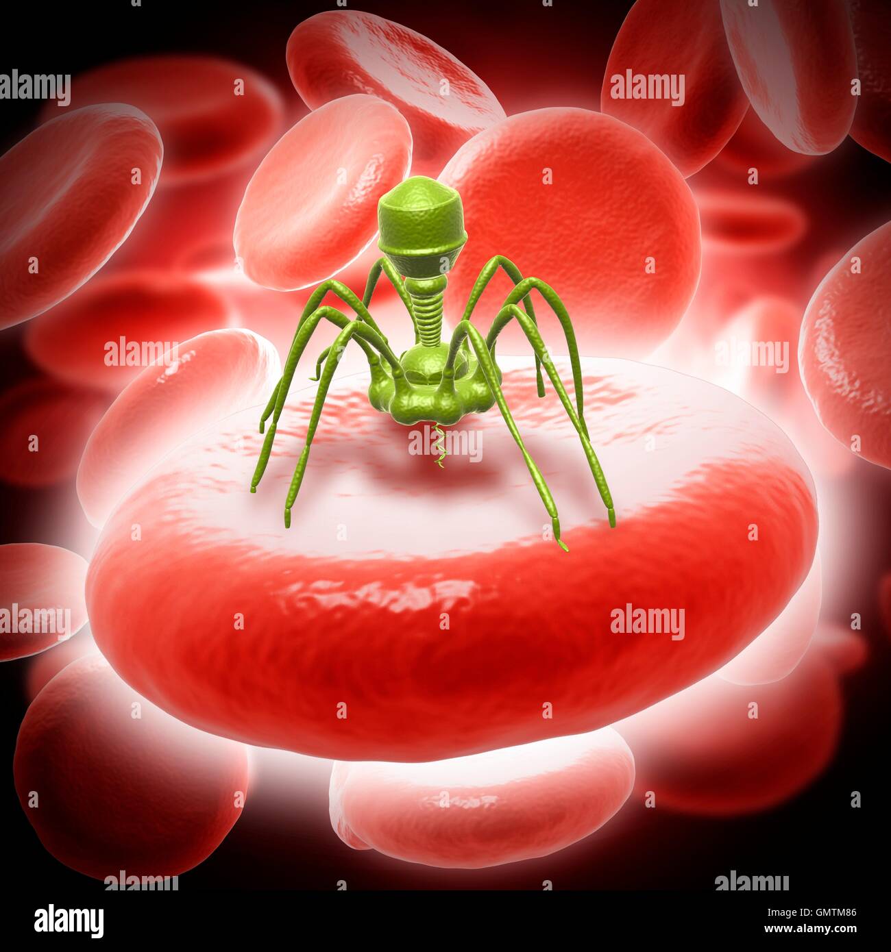 Bacteriophage t4 virus, illustration. Stock Photo