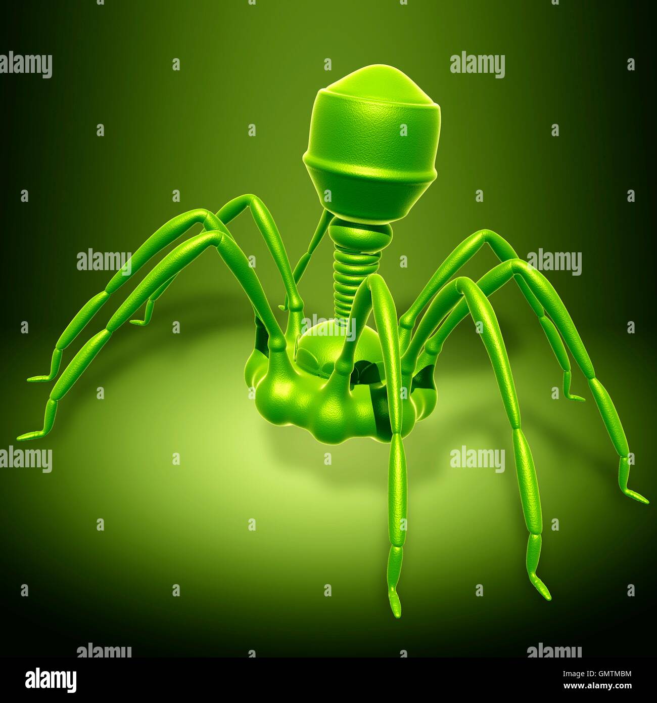 Illustration of a bacteriophage t4 virus. Stock Photo