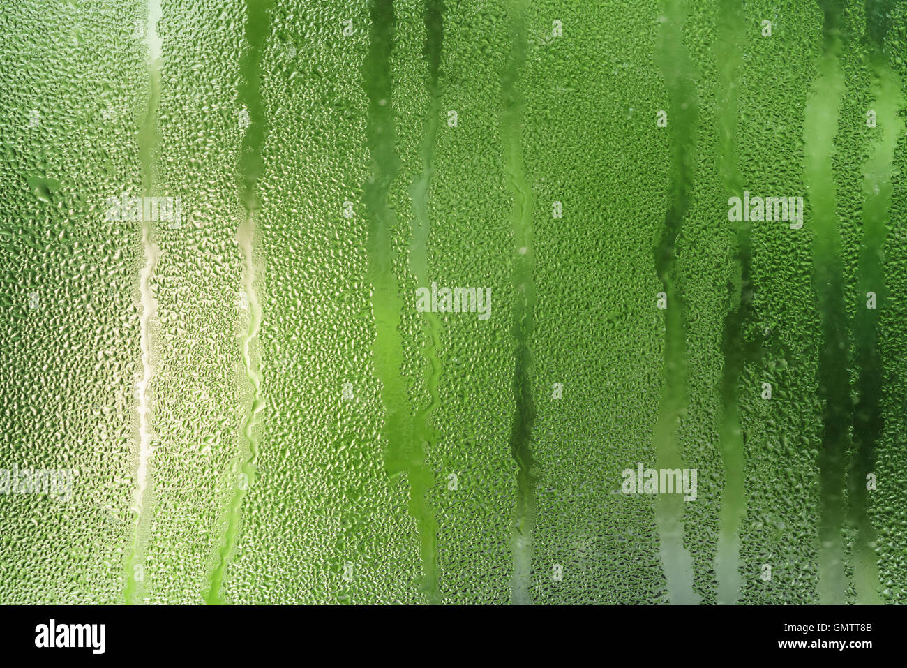 water condensate on window glass Stock Photo