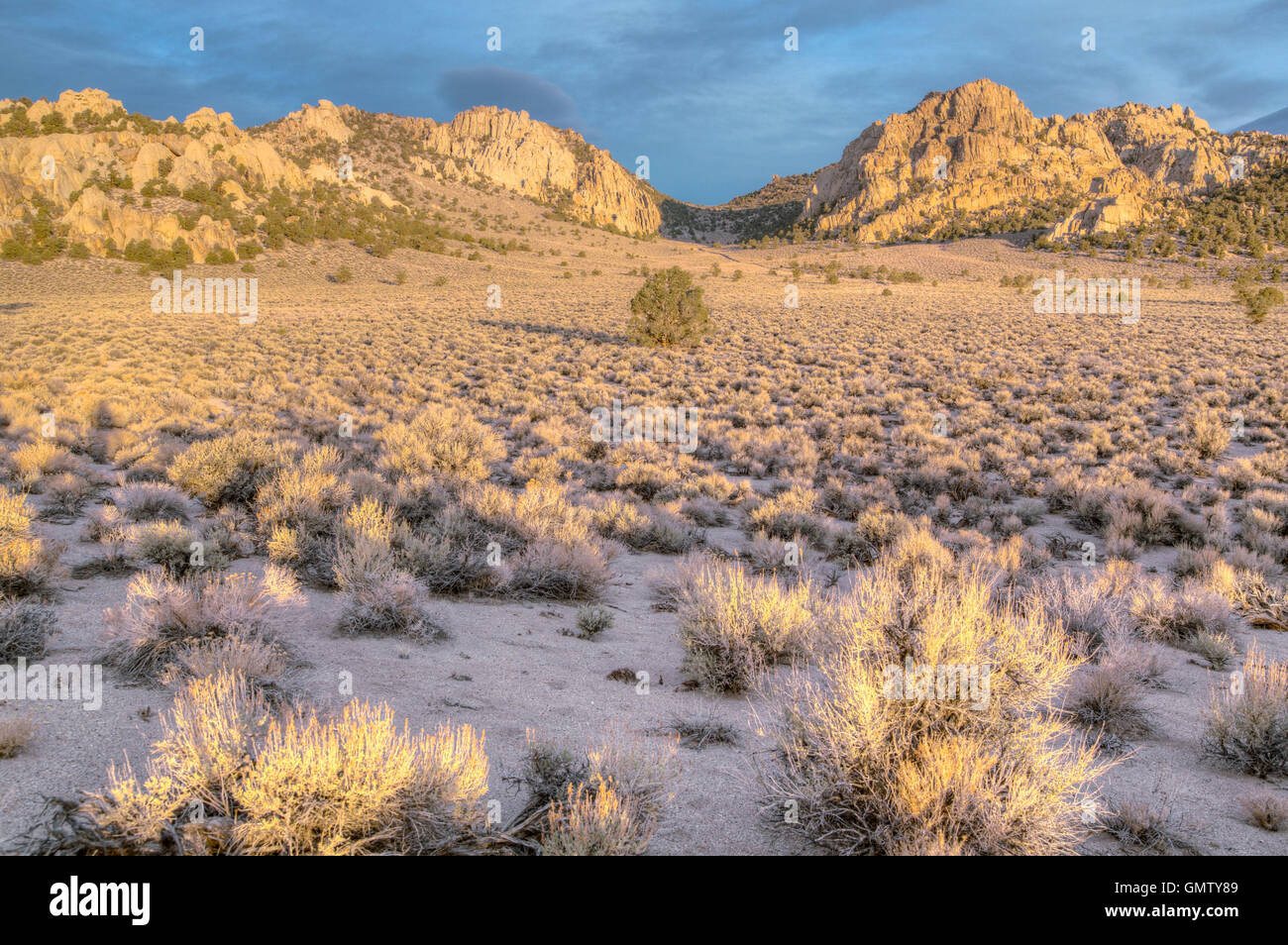 Sagebrush steppe in the Granite Mountain Wilderness in the eastern Sierra Mountains near Mono