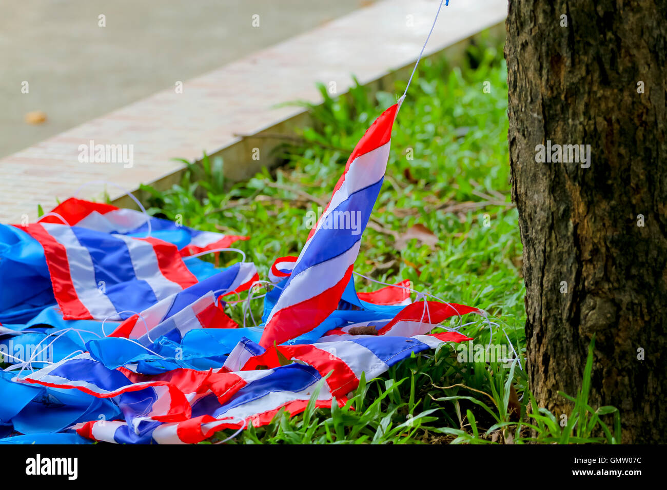 Thailand flag on tree background Stock Photo - Alamy