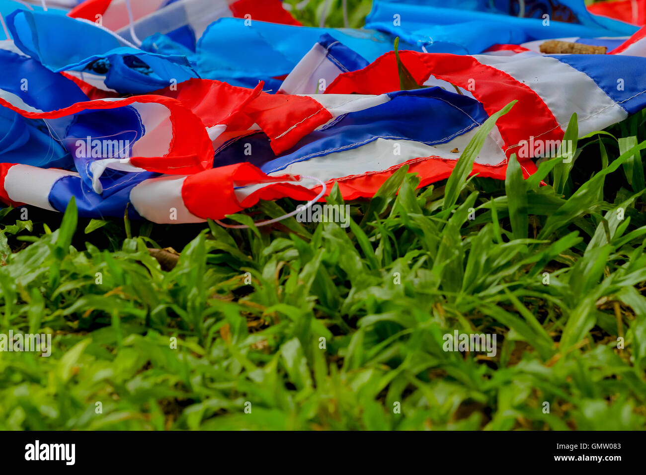 Thailand flag on tree background Stock Photo - Alamy