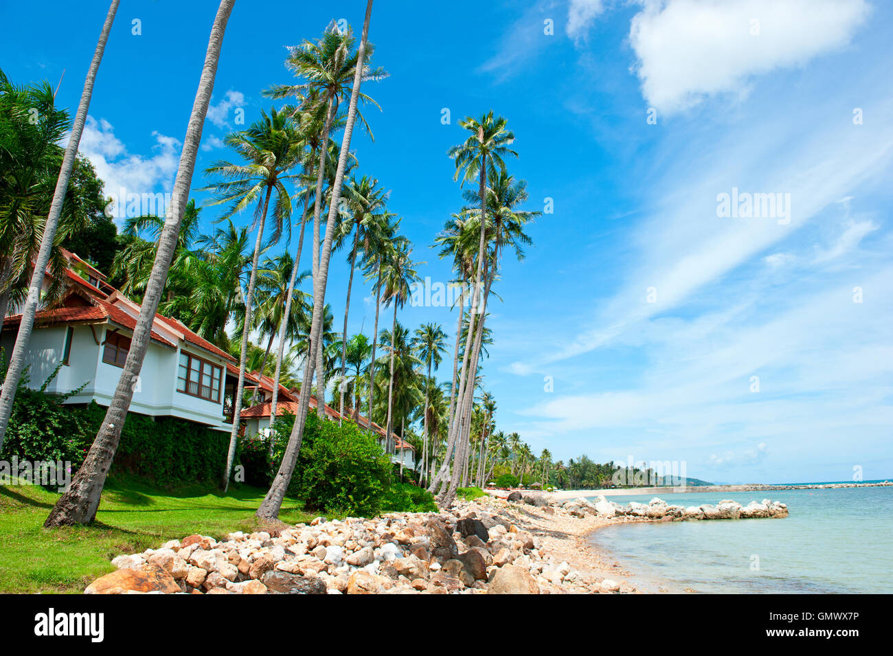 Beautiful house with palm trees on the beach Stock Photo - Alamy