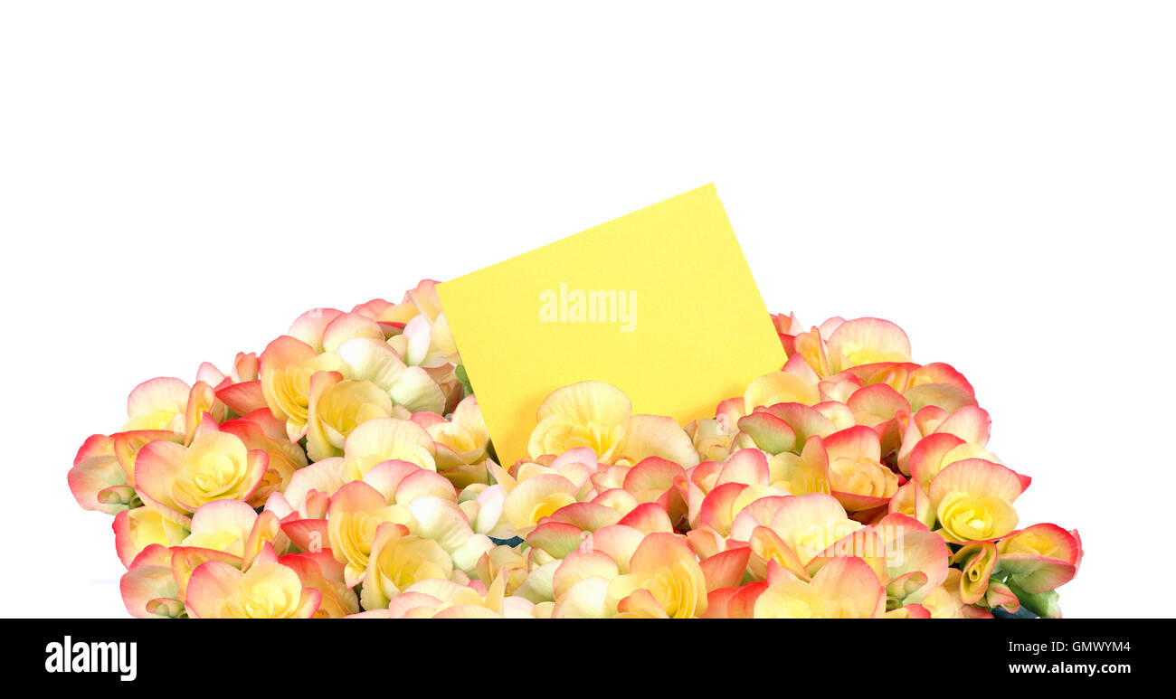 Bunch Of Flowers With Greeting Card Stock Photo