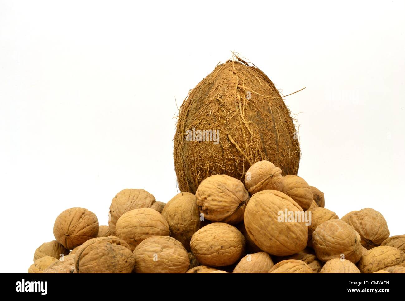 The king of nuts Stock Photo Alamy