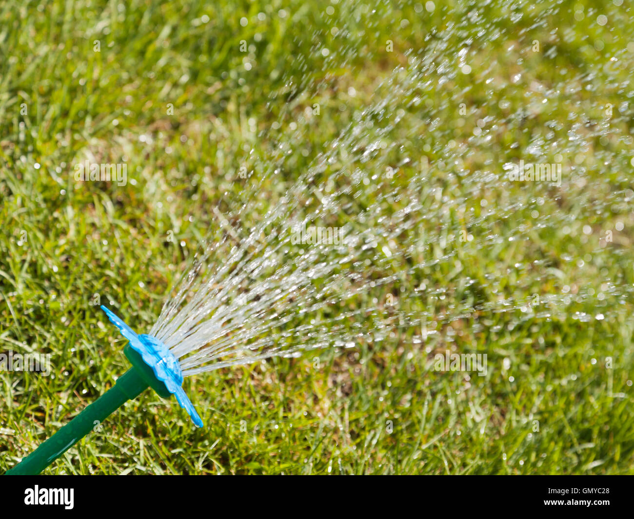 Water sprinkler on green grass Stock Photo Alamy