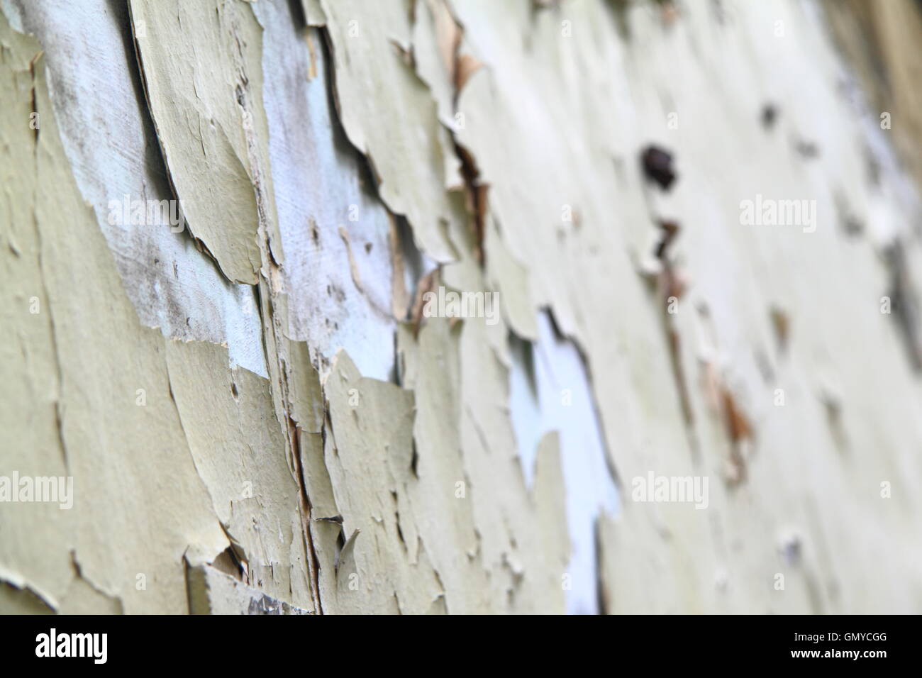 old paint wall Stock Photo Alamy