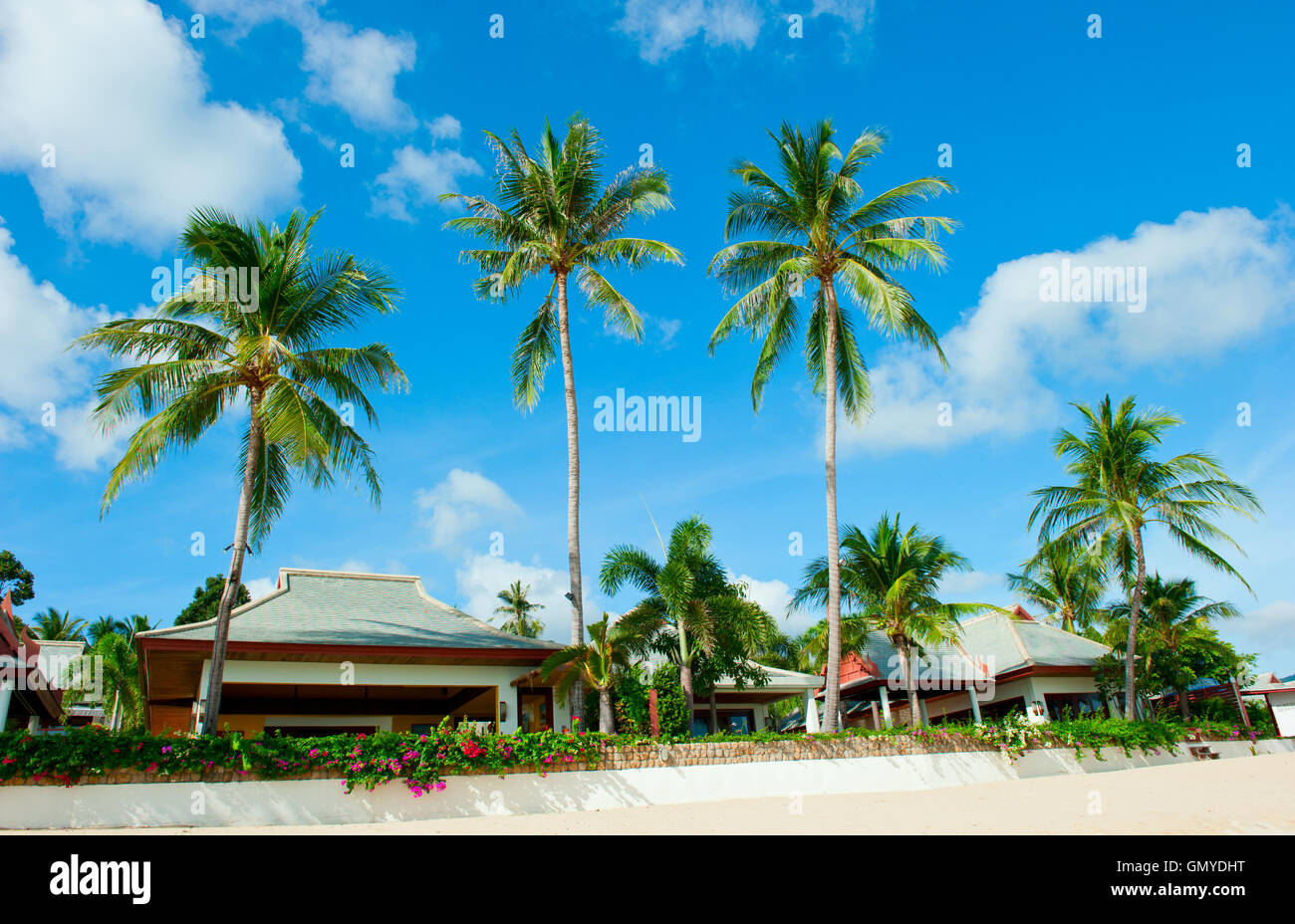 Beautiful house with palm trees on the beach Stock Photo - Alamy