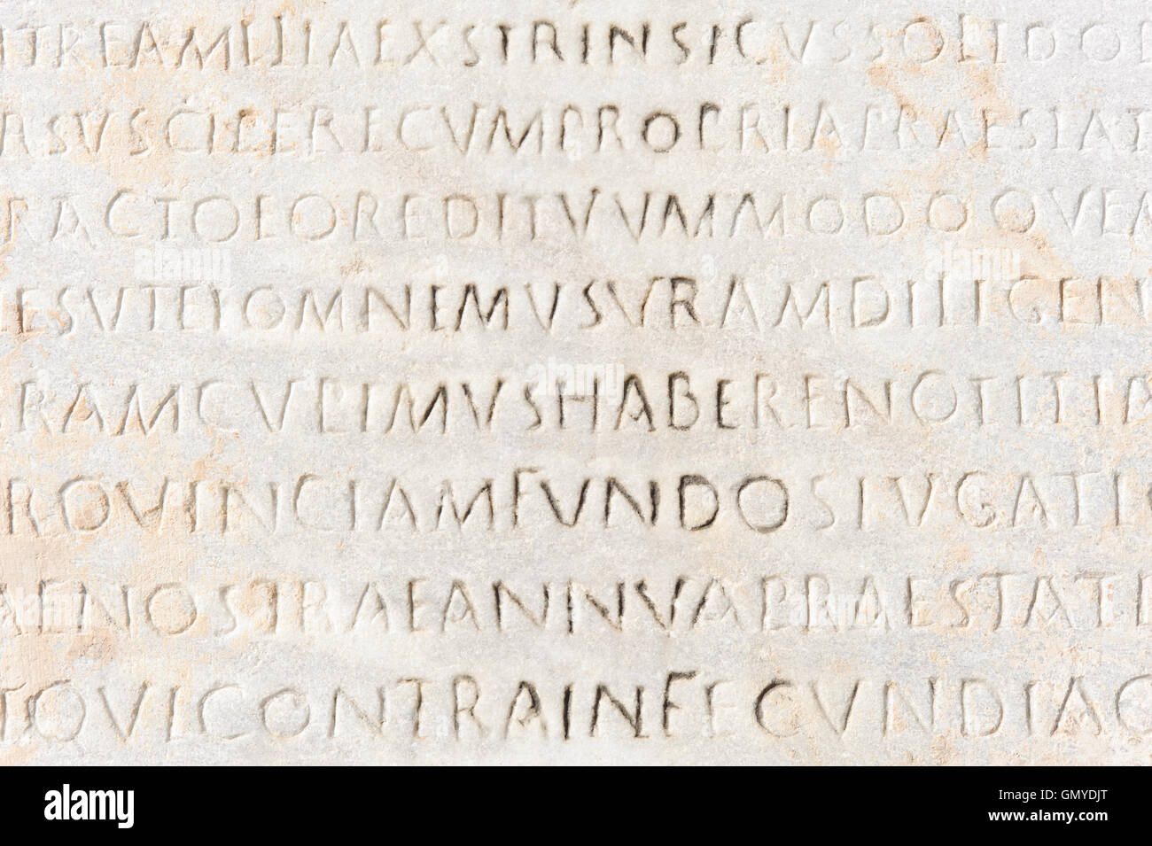 closeup of ancient latin text Stock Photo