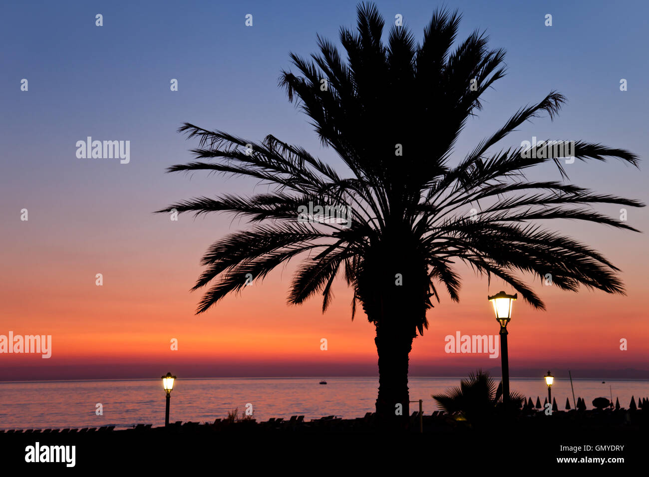 Palm tree on sunset sea beach Stock Photo - Alamy