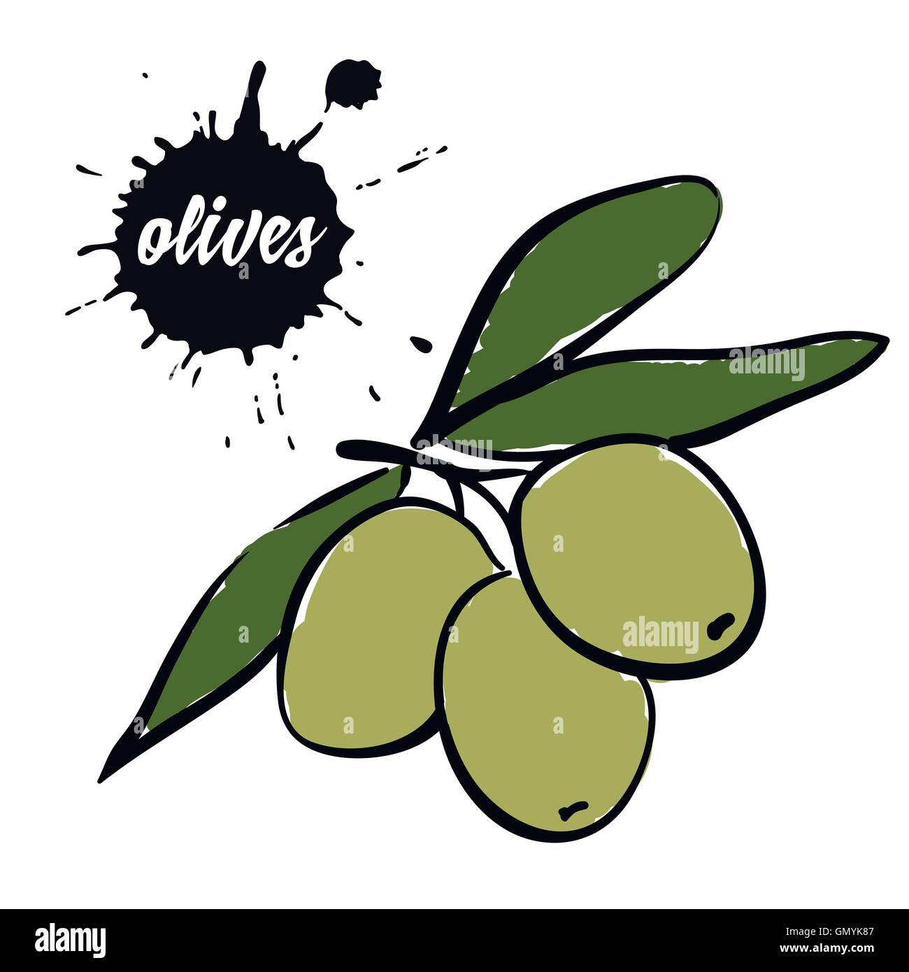 Italian olives branch green Stock Vector Images - Alamy