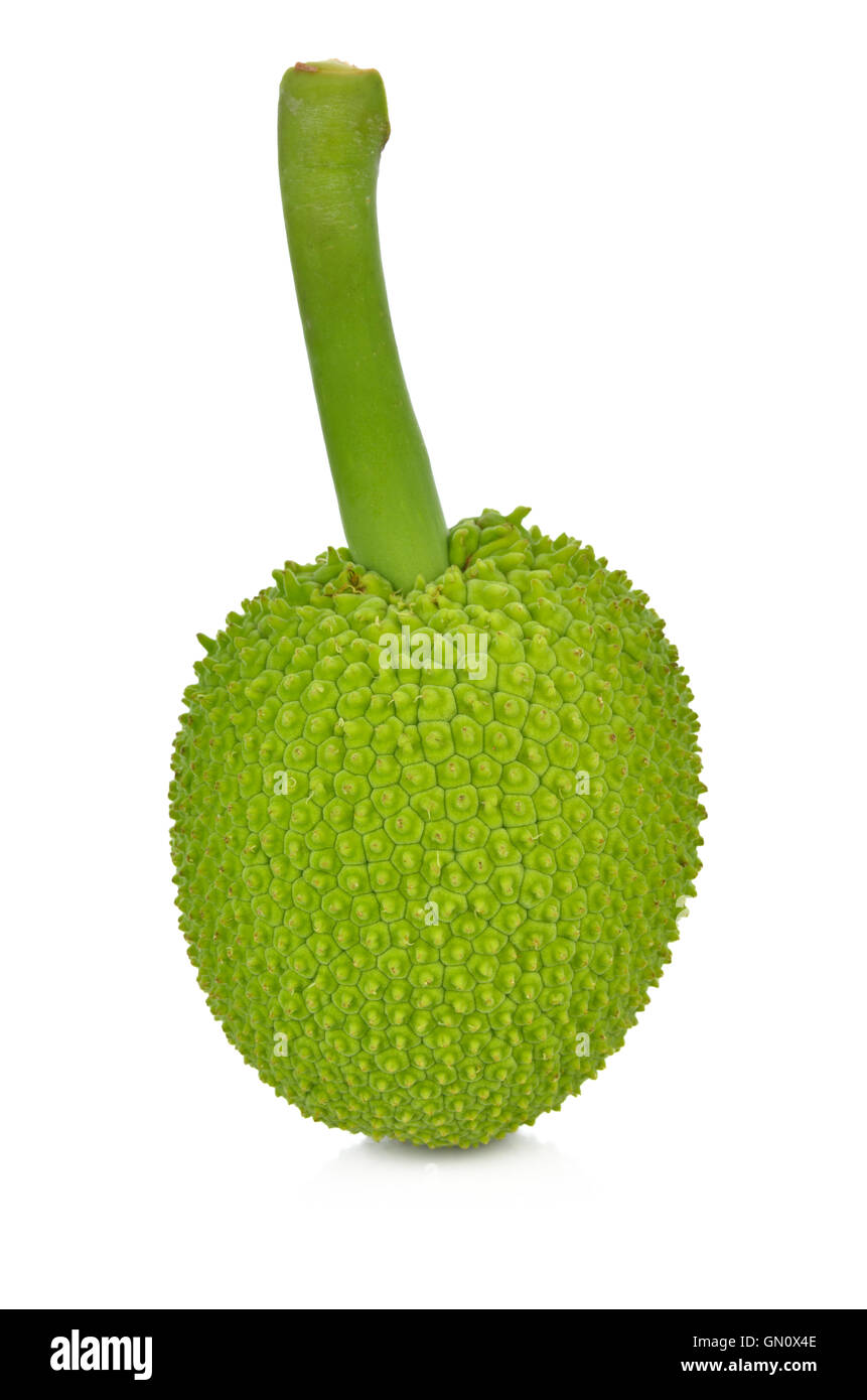 breadfruit isolate on white background Stock Photo
