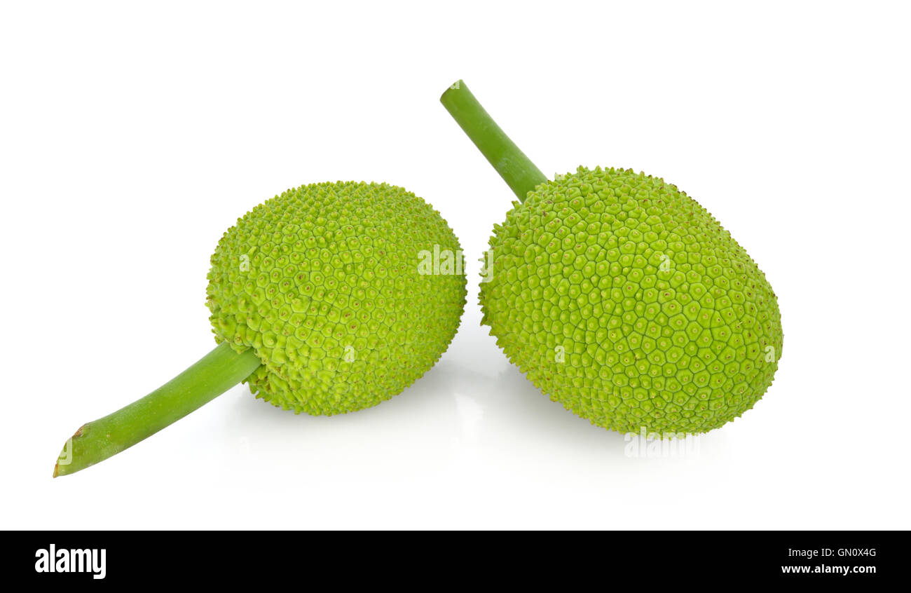 breadfruit isolate on white background Stock Photo