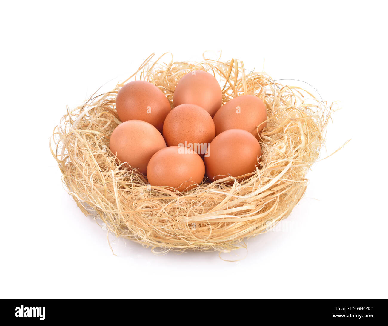 eggs in a nest on white background Stock Photo - Alamy