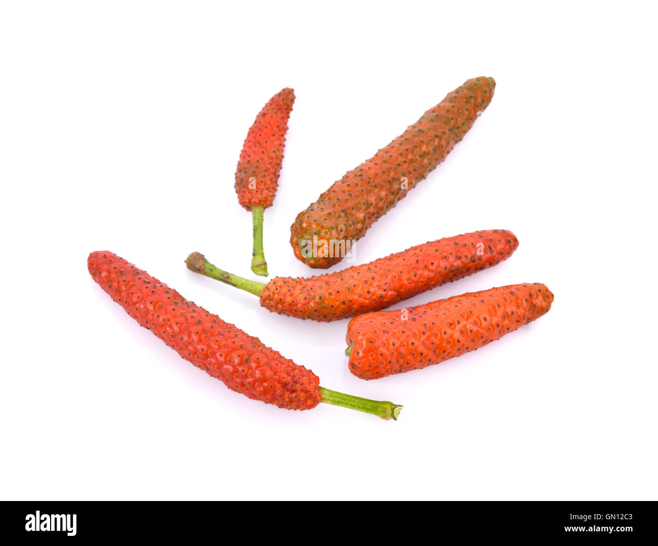 Long pepper or Piper longum isolated on white background Stock Photo