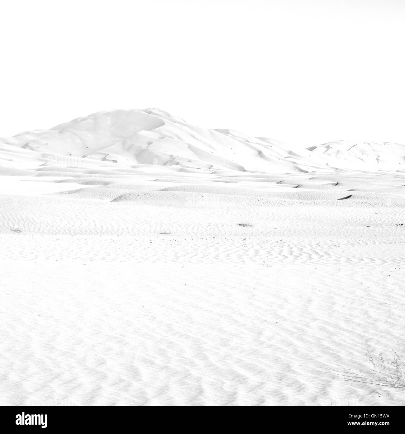 the empty quarter  and outdoor  sand  dune in oman old desert rub al khali Stock Photo