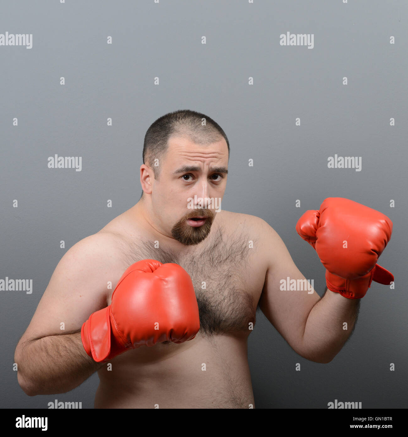 Portrait of funny fat boxer against gray background Stock Photo Alamy