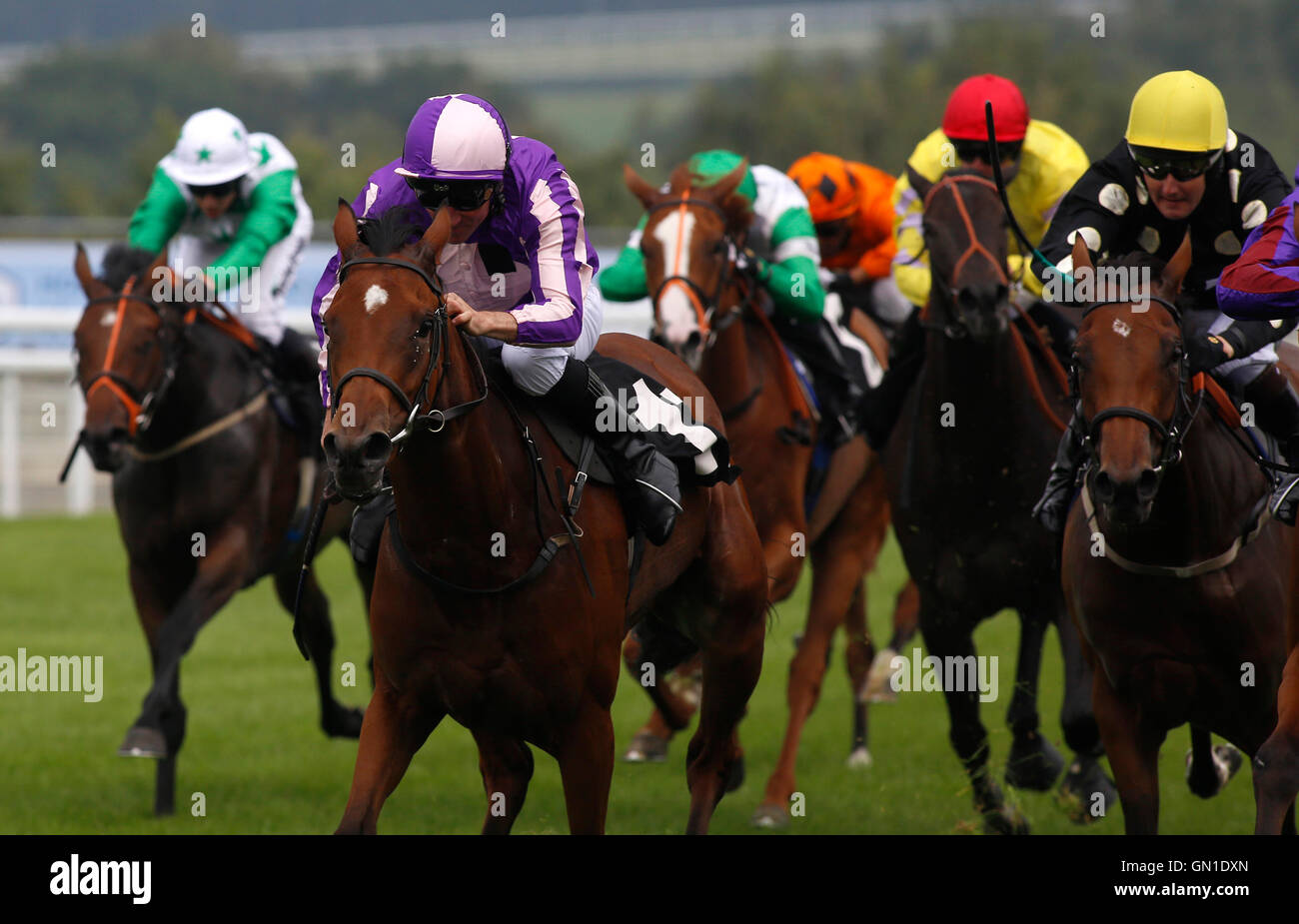 Tara Celeb (centre) ridden by John Egan leads the field home to win The Absoloute Aesthetics Maiden Fillies' Stakes Race run at Goodwood Racecourse. Stock Photo