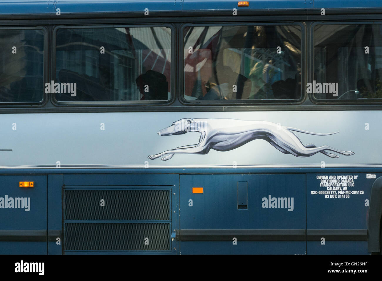 Greyhound Bus Schedule And Fares