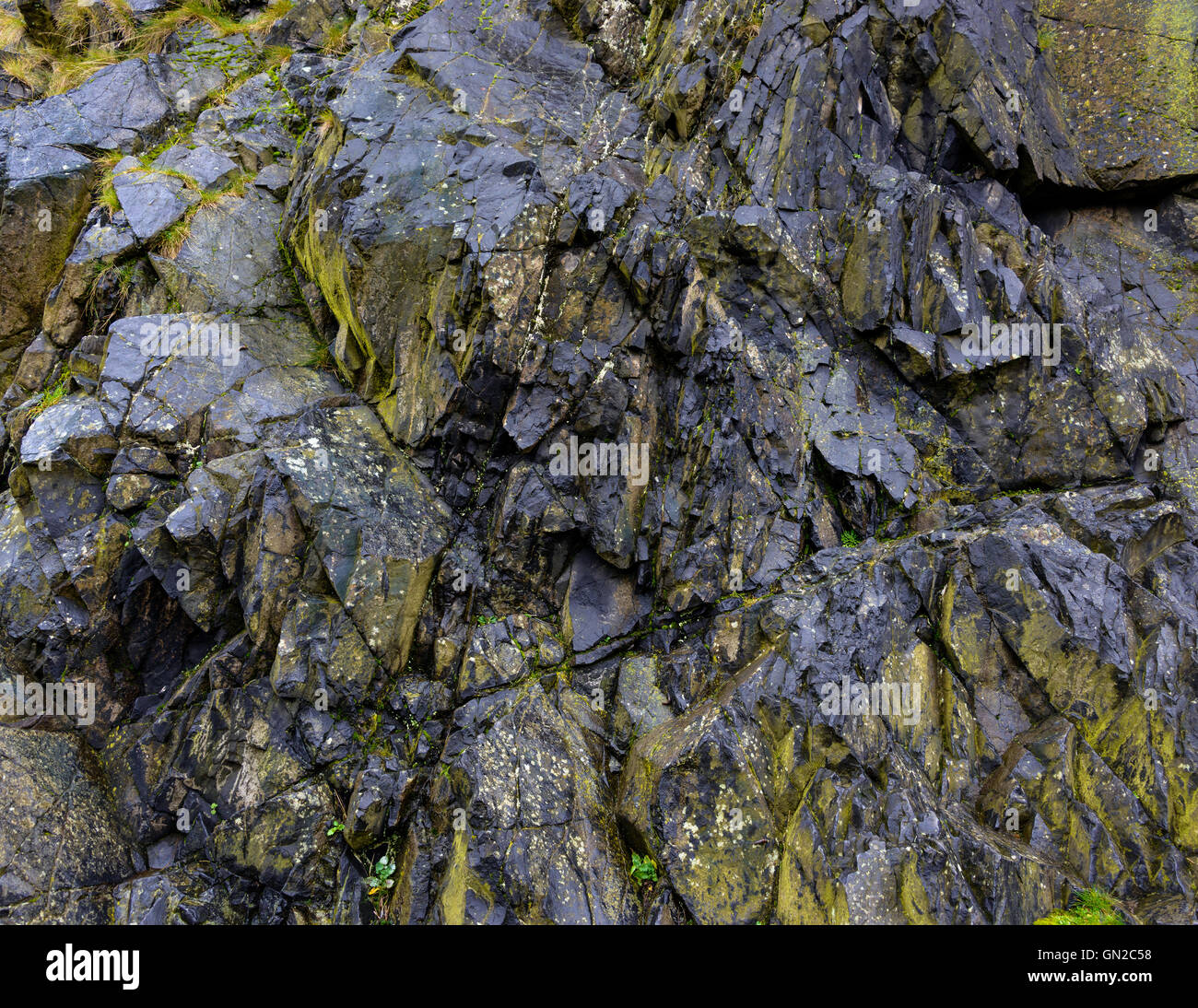 Black rock texture and green moss Stock Photo
