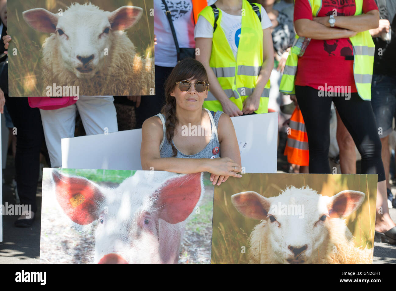 Geneva, Switzerland. 27th Aug, 2016. An animal rights activist takes part in a rally in Geneva, Switzerland, Aug. 27, 2016. Thousands of animal rights activists from 'Pour l'Egalit¨¦ Animale' (For the Equality of Animals) took part in the rally, demanding the protection of the animals' rights and equality. Credit:  Xu Jinquan/Xinhua/Alamy Live News Stock Photo