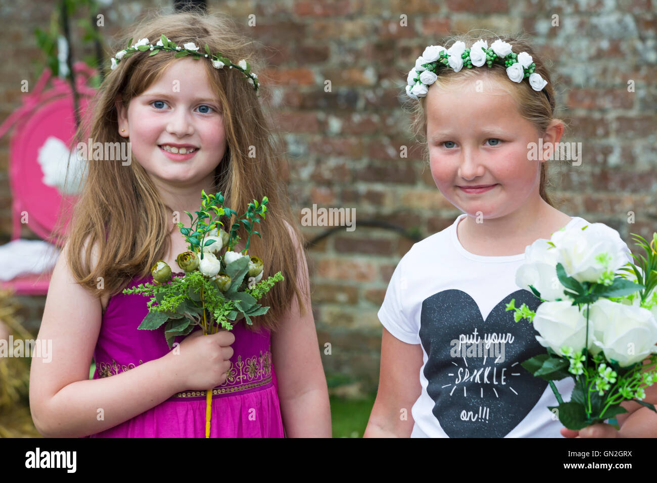 Wimborne, Dorset, UK 27 August 2016. The Olive Branch in Wimborne plays host for dog wedding ceremonies, as part of its dog show. The ‘happy couple’ dogs are invited to wear a veil and top hat, as the ‘wedding vows’ are read out by a person dressed in a dog collar. The four-legged ‘couple’ exchange dog treats and the owner presented with a marriage certificate. A human being will be bridesmaid and another dressed as Olive the dog to greet visitors. Donations are invited to raise funds for British Heart Foundation. Credit:  Carolyn Jenkins/17�Թ����� Live News Stock Photo