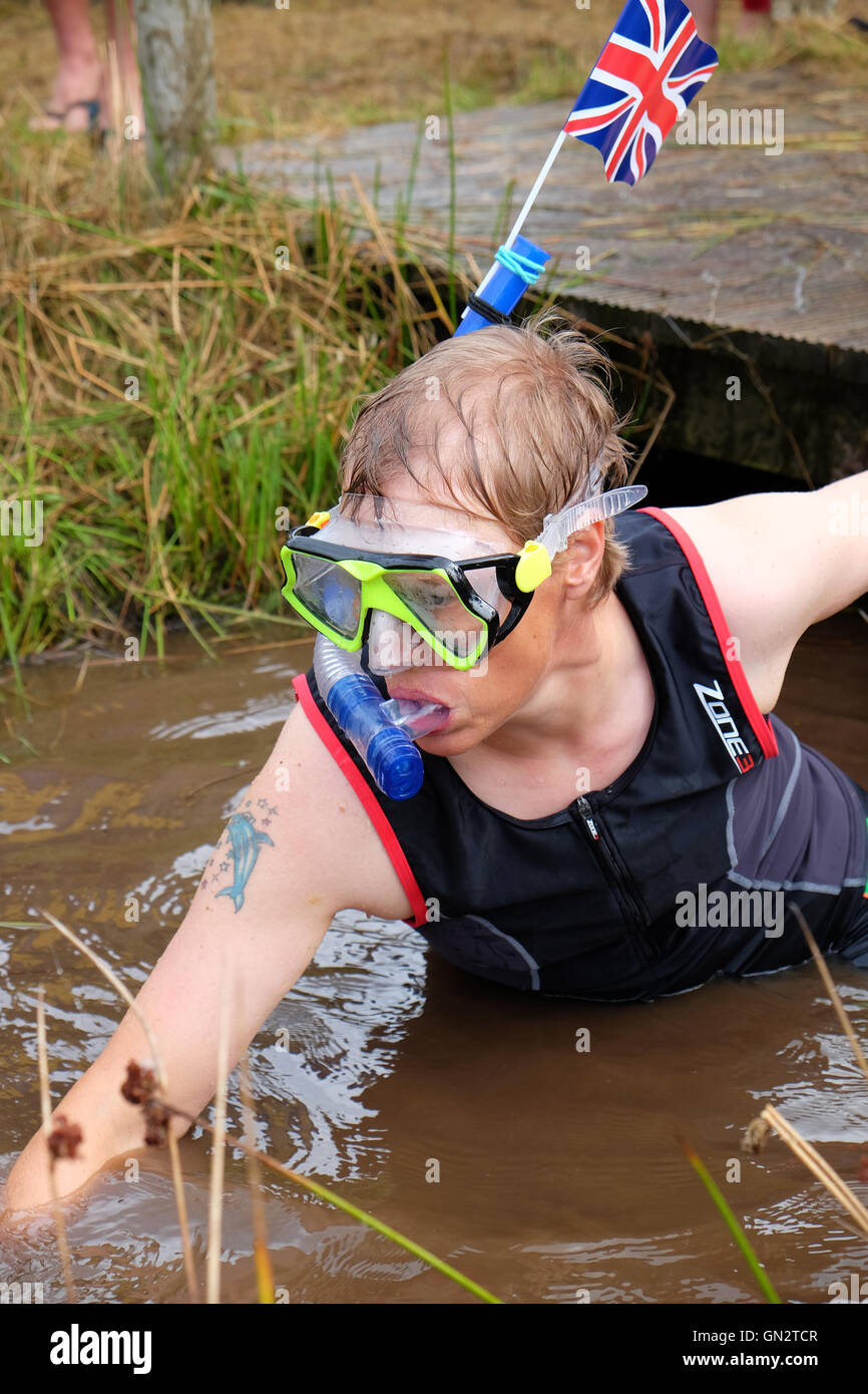 31st World Bog Snorkelling Championships, Llanwrtyd Wells, Powys, Wales  August, 2016 - A female competitor with a Union Jack gets ready to start her snorkel through the peat bog at Waen Rhydd bog for the World Bog Snorkelling Championships in rural Mid Wales. Stock Photo
