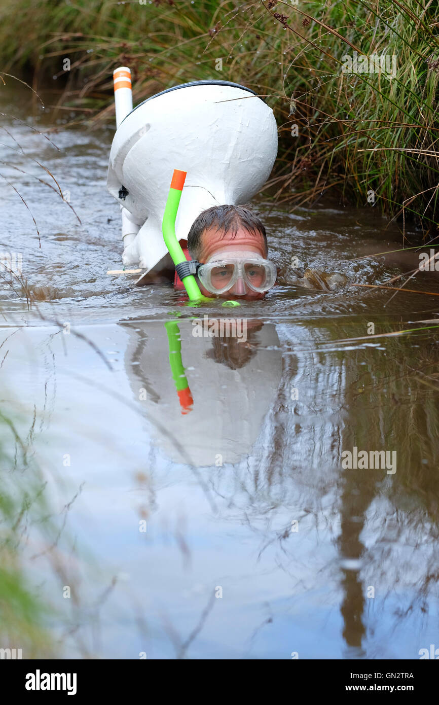 World Bog Snorkelling Championships Llanwrtyd Wells, Powys, Wales August, 2016 - 31st  - A competitor snorkels through the peat bog with a toilet 'bog' on his back at Waen Rhydd bog for the World Bog Snorkelling Championships in rural Mid Wales. Stock Photo