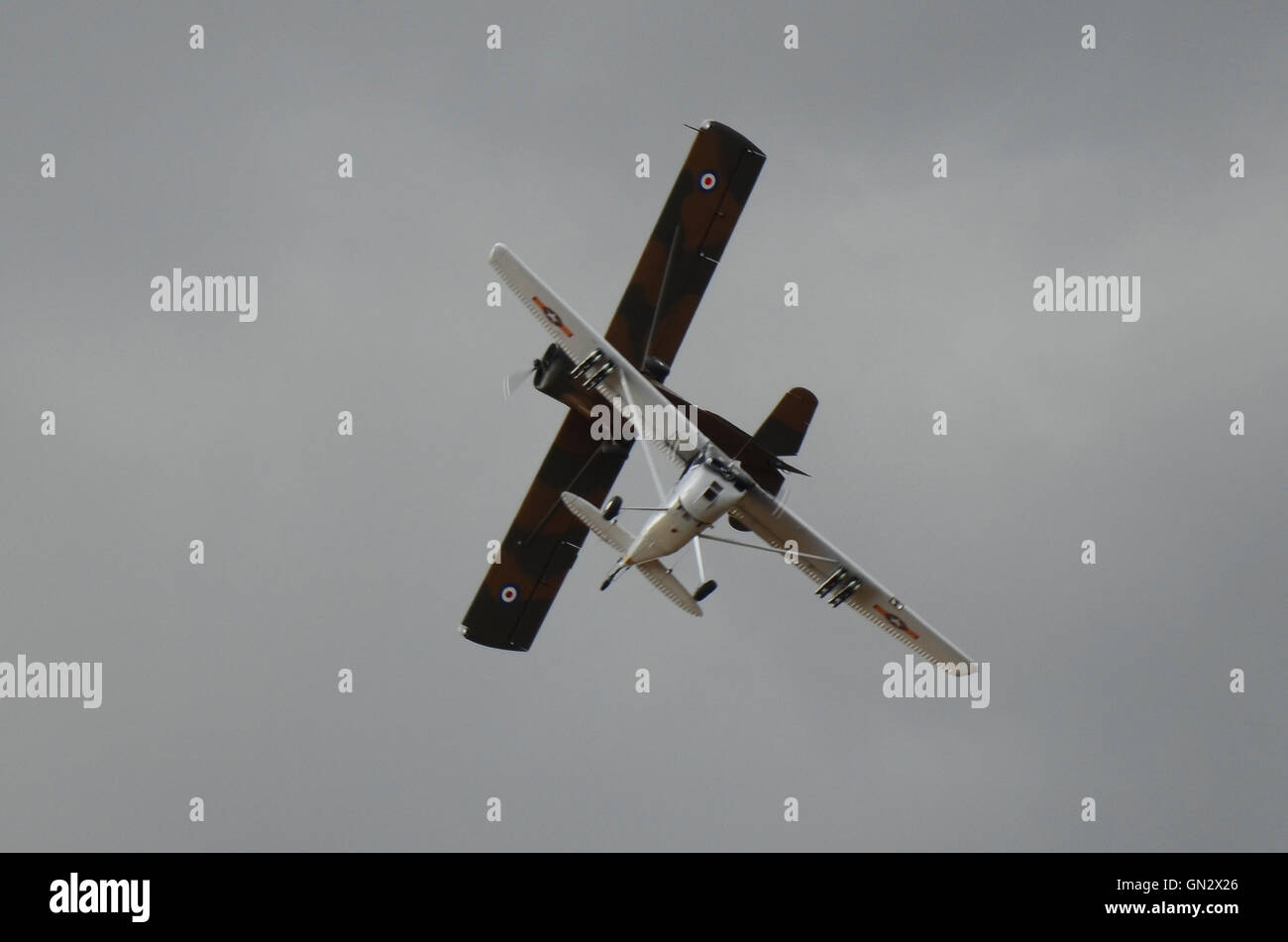 A Cessna Bird Dog and Auster AOP planes breaking at an airshow Stock Photo