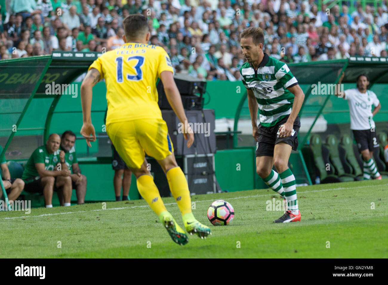 Alex pereira hires stock photography and images Alamy