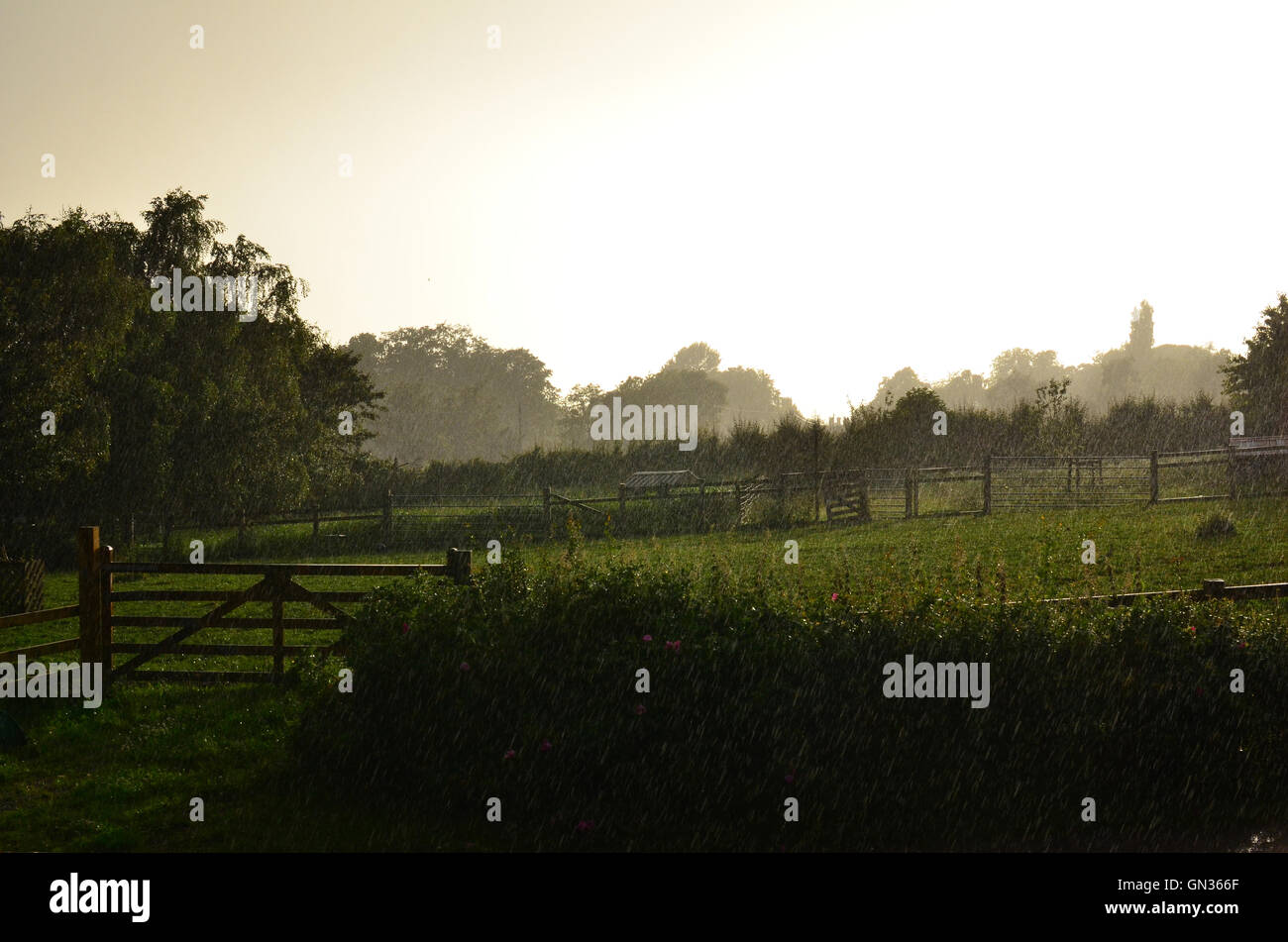 Rain over a field in Pickering North Yorkshire England UK Stock Photo ...