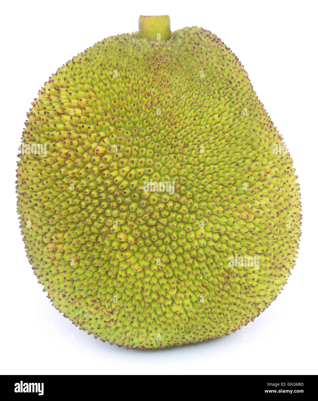 Jackfruit over white background Stock Photo