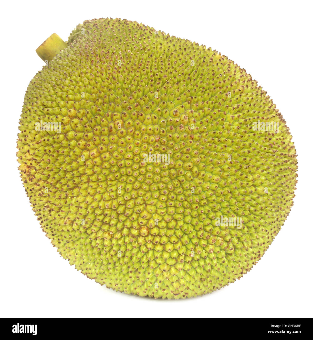 Jackfruit over white background Stock Photo