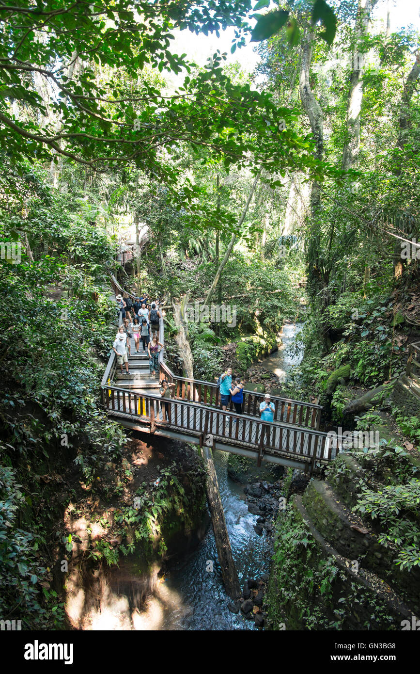 Footbridge in the Monkey Forest, Ubud, Bali. Stock Photo