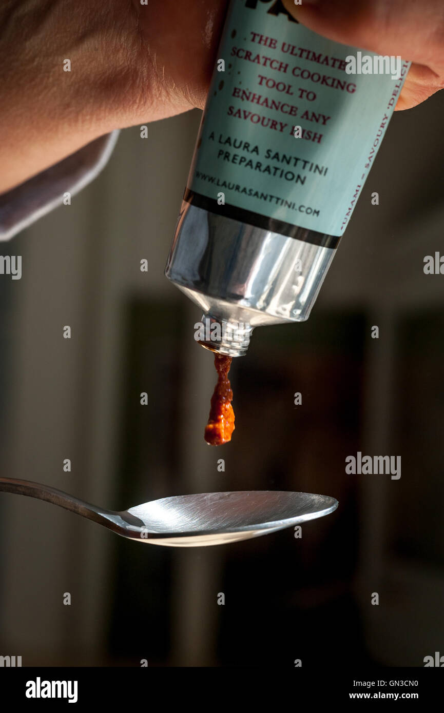 A tube of umami paste, also known as taste number five. Stock Photo