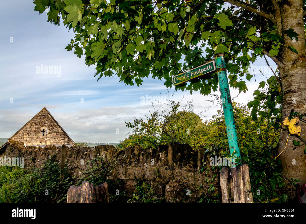 Rural English scene in Somerset, England, UK Stock Photo