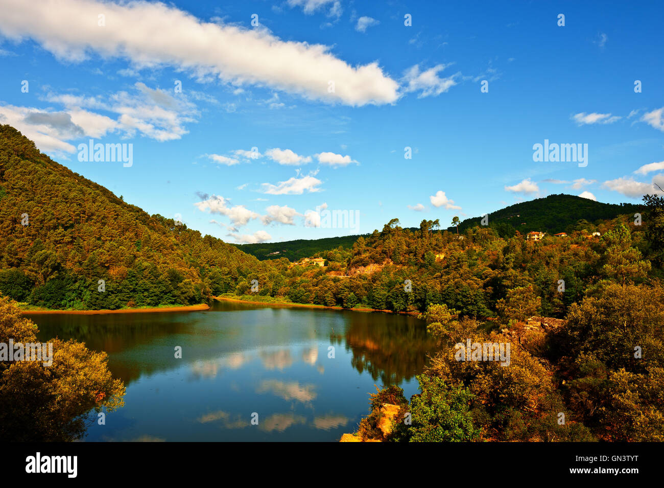 Forest Lake Stock Photo - Alamy