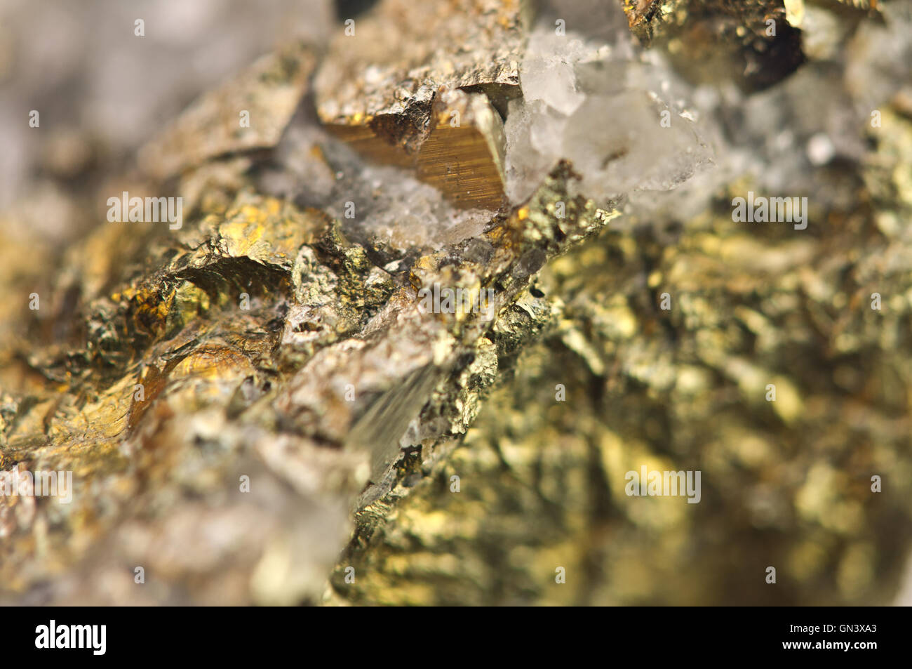 Golden pyrite, fool's gold, is an iron sulfide chemical formula FeS2. Macro Stock Photo