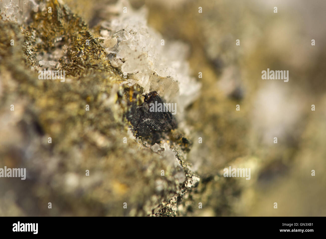 Golden pyrite, fool's gold, is an iron sulfide chemical formula FeS2