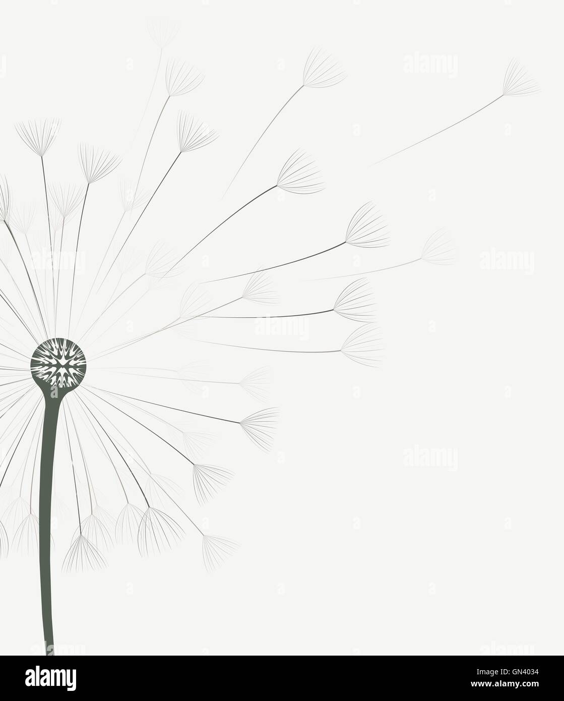 Vector dandelion flower Stock Vector