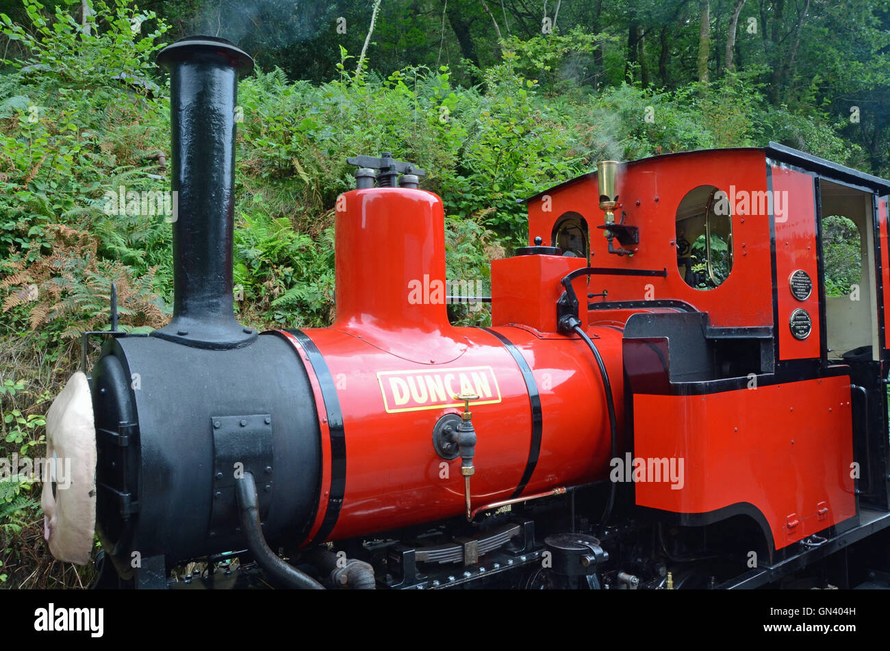 8,652 Red Steam Engine Stock Photos - Free & Royalty-Free Stock Photos from  Dreamstime