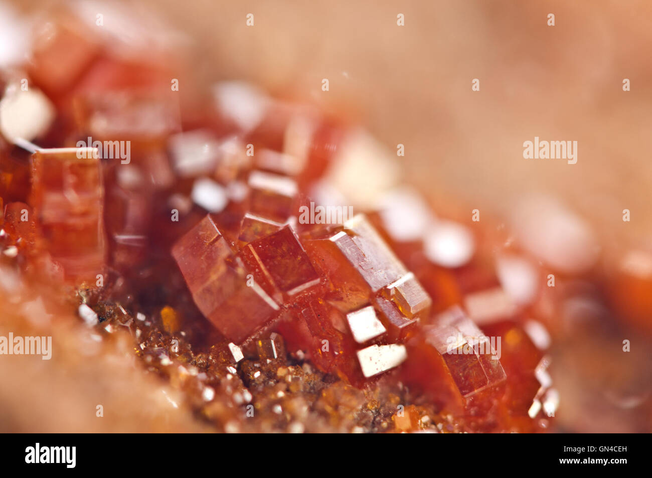 Crystals Vanadinite is a mineral belonging to the apatite group of phosphates,  chemical formula Pb5(VO4)3Cl.  Macro. Stock Photo