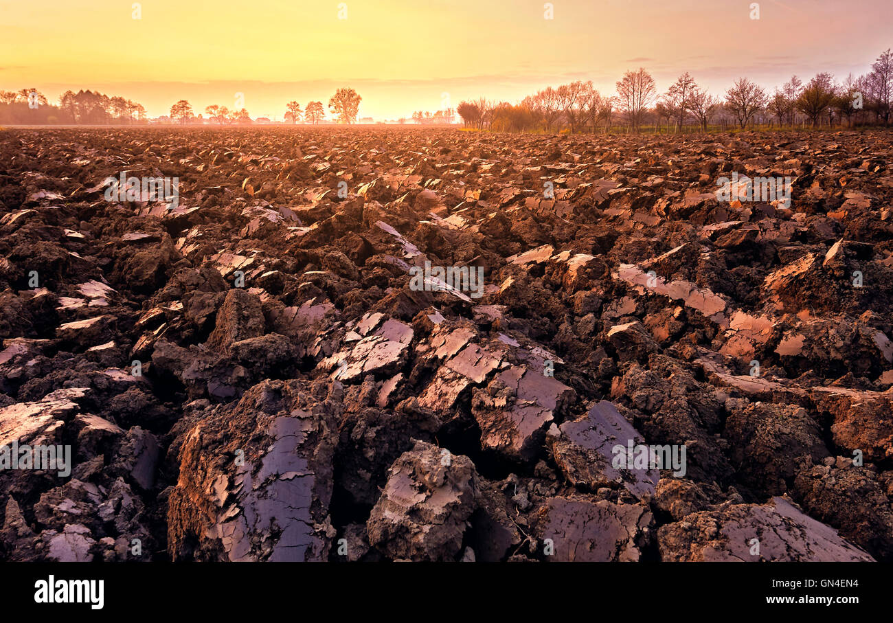 plowed soil. spring field. sunset over ploughed field. Countryside lanscape Stock Photo