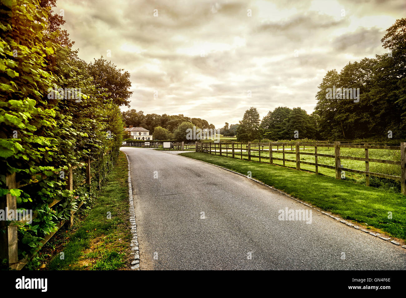 Beautiful English countryside. Stunning landscape over English countryside  landscape in Summer sunrise. English country lane at Stock Photo - Alamy, image size:1300x957